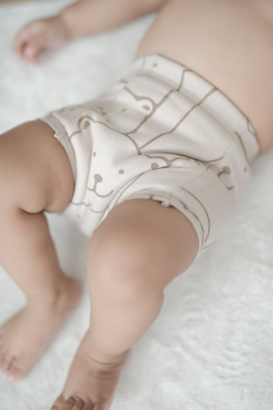 "Potty Training Padded Briefs: A Parent’s Guide"