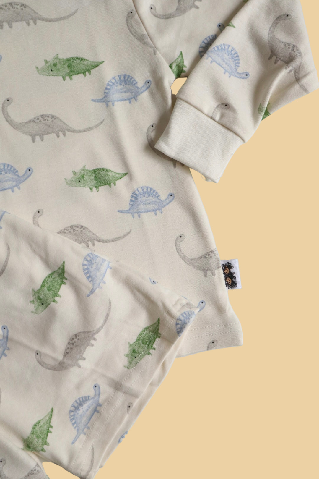 Pastel Roars Basic Long Sleeve Co-ords