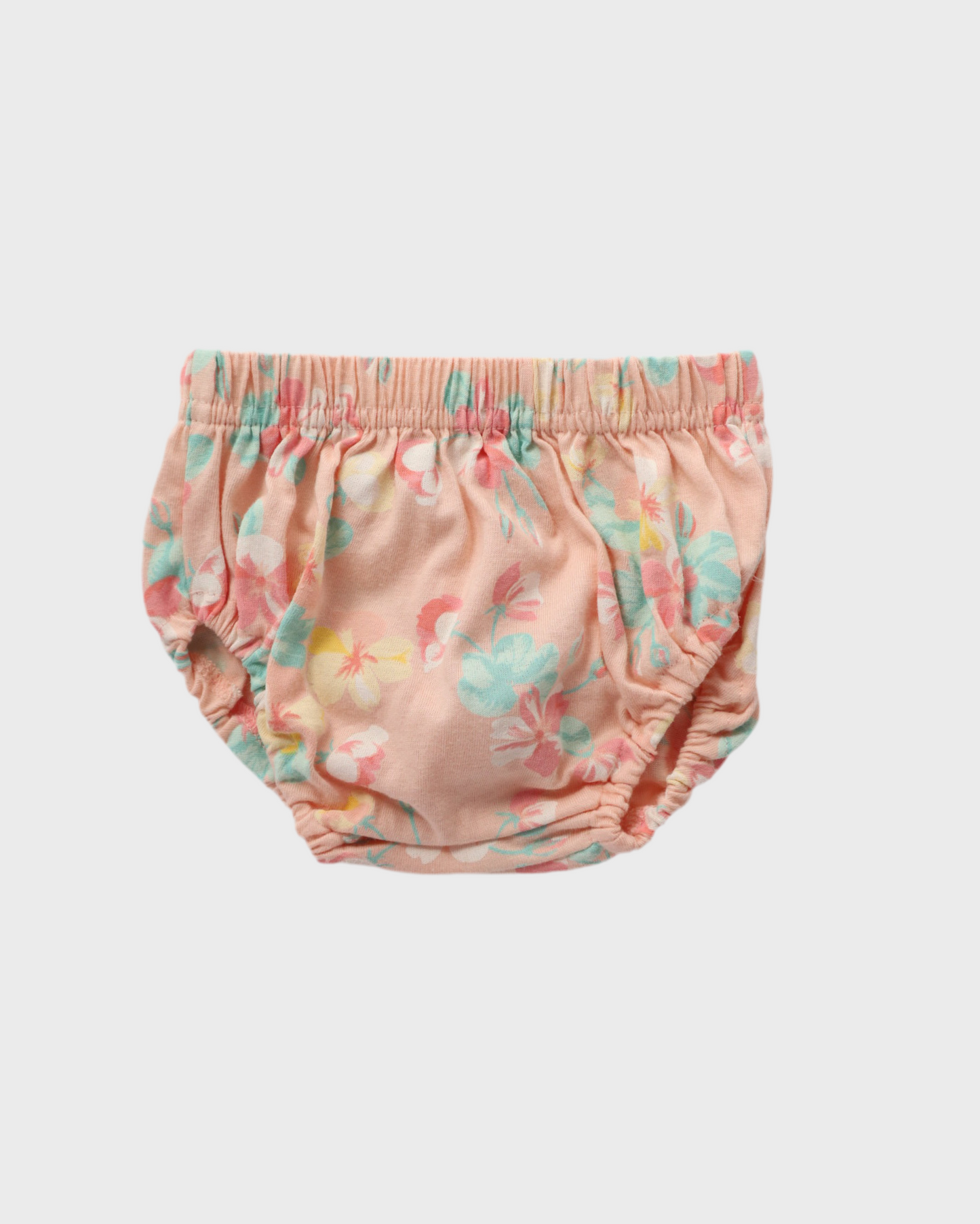 Garden Dreams Frill Dress + Bloomer