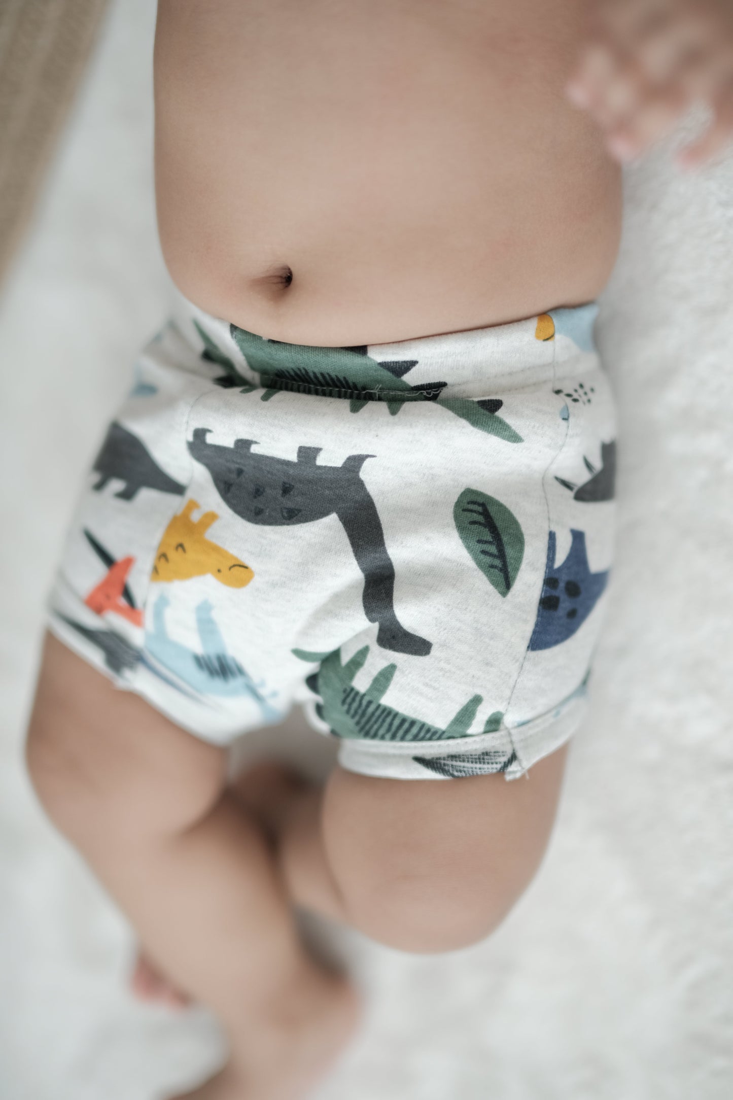 Dino Valley Briefs