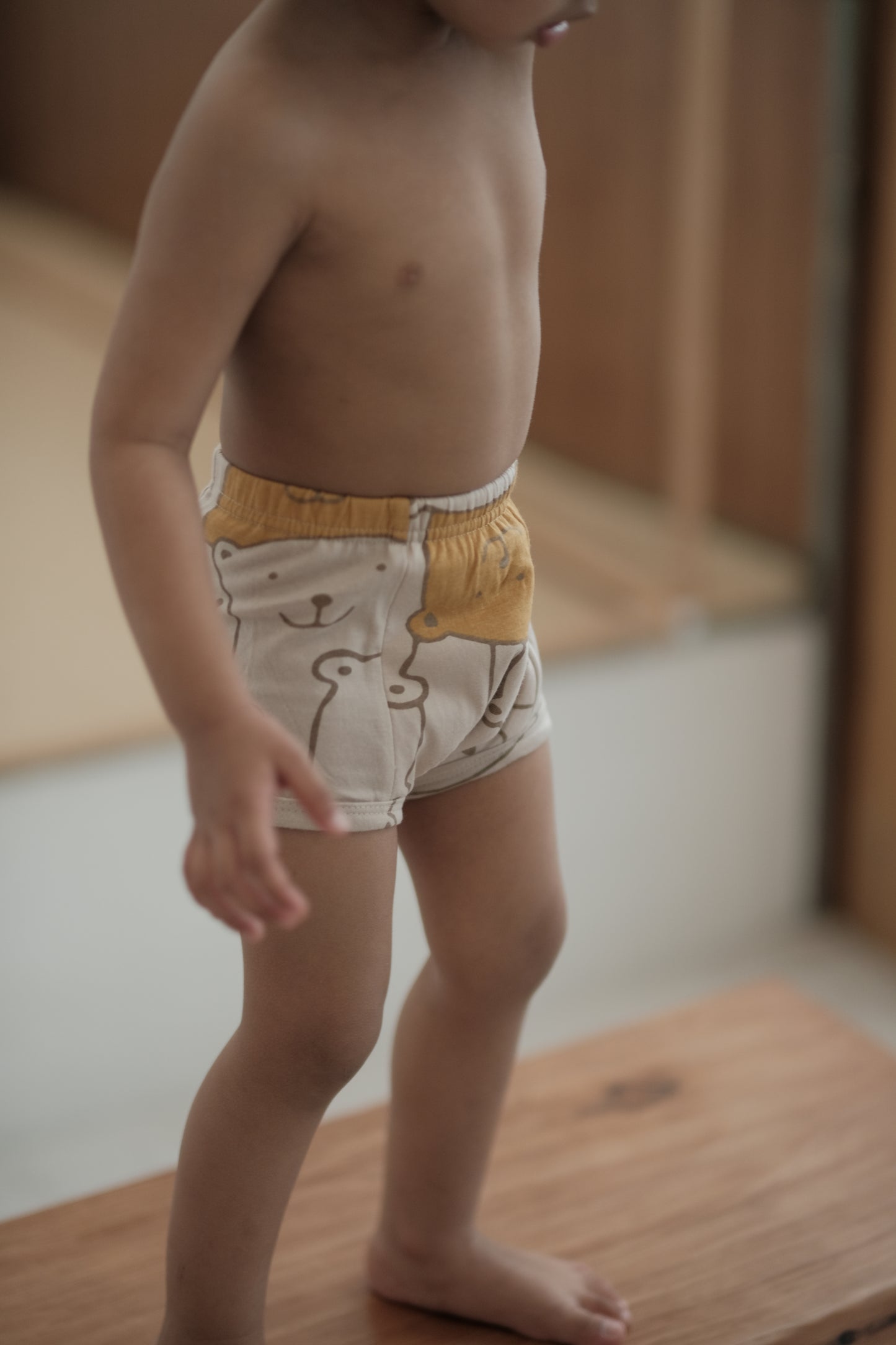 Big Bear Briefs
