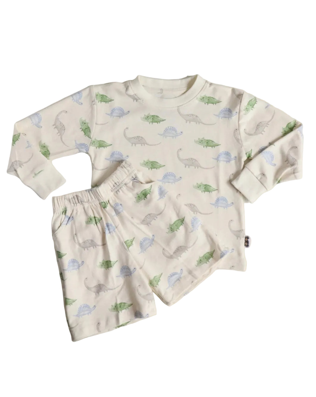 Pastel Roars Basic Long Sleeve Co-ords
