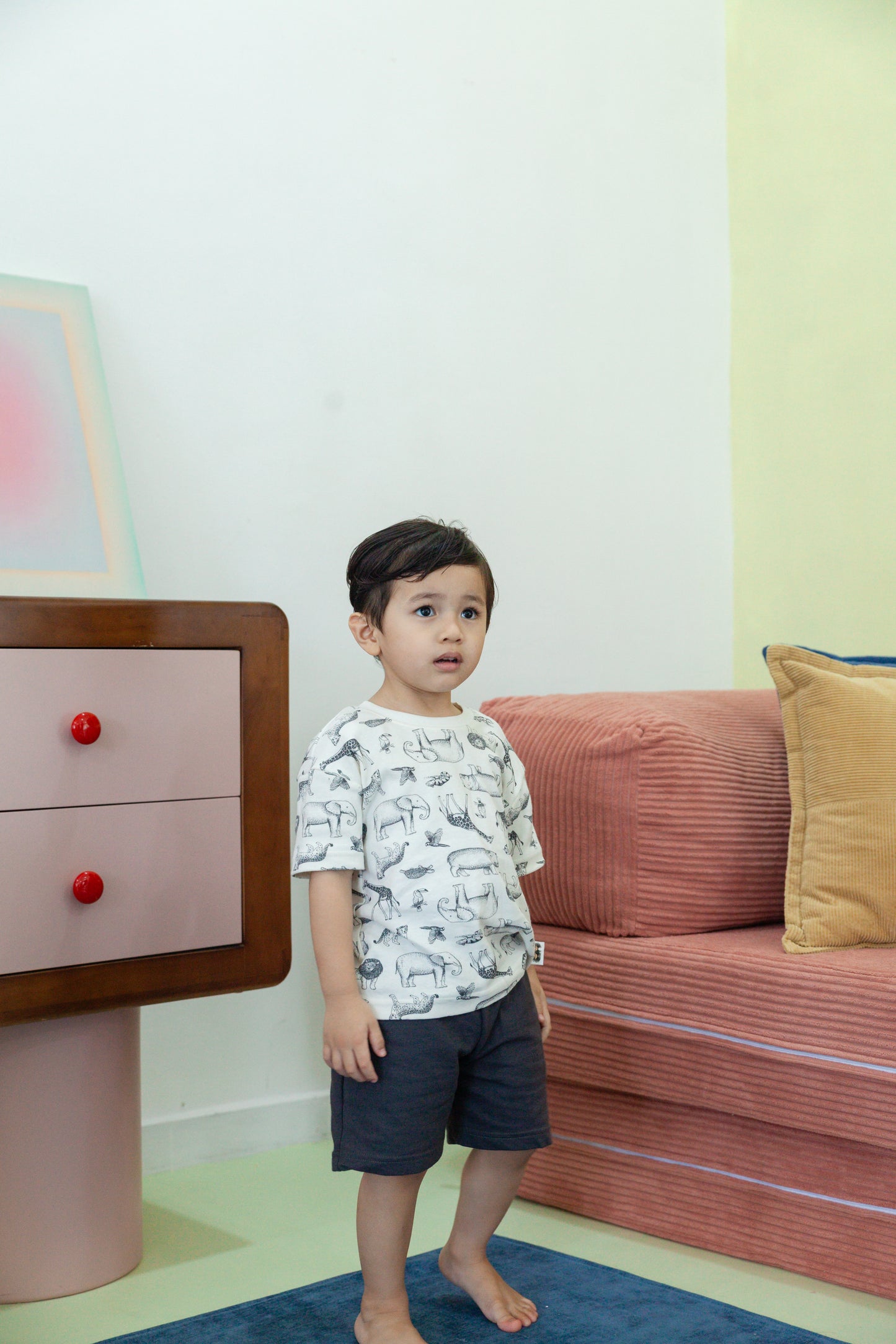 Night Safari Basic Solid Co-ords